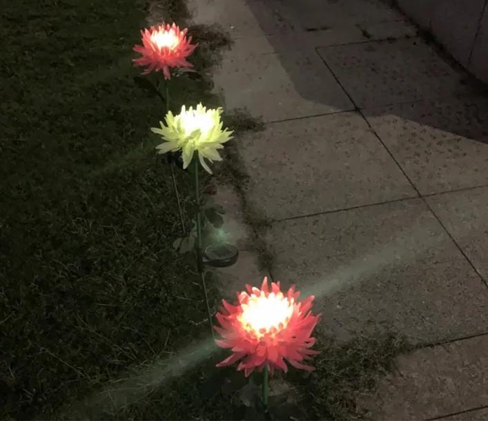 Spring artificial chrysanthemum solar garden stake lights
