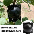 50% OFF--Plant Root Growing Box