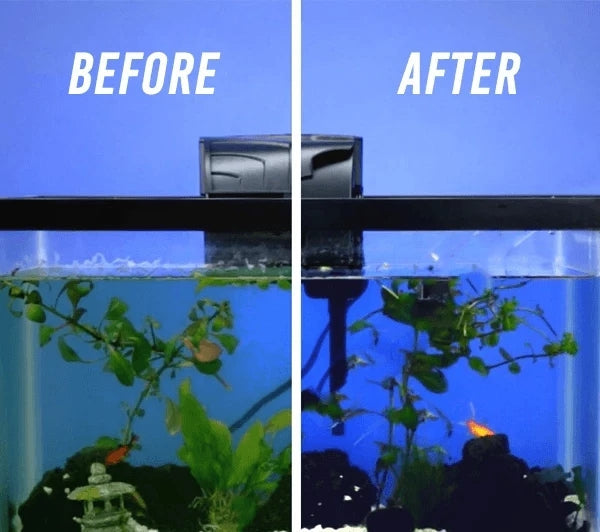 Eco-Aquarium Water Purifier Cube